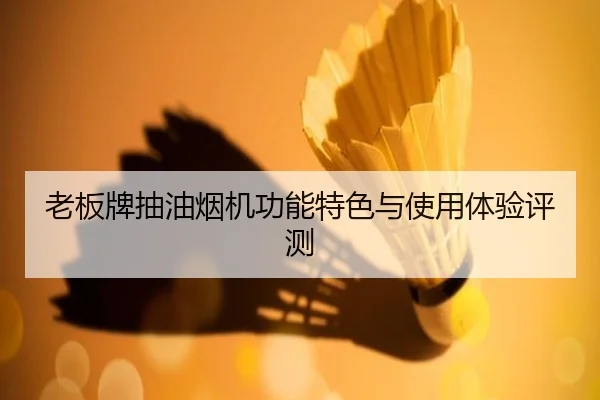 老板牌抽油烟机功能特色与使用体验评测